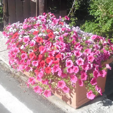 Casa Walter- Vda-la Thuile- Cir 0024 Appartement La Thuile