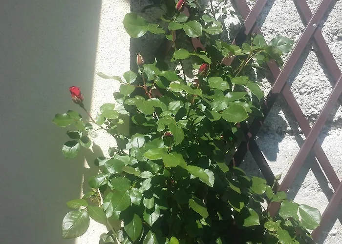 Daire Casa Walter- Vda-la Thuile- Cir 0024